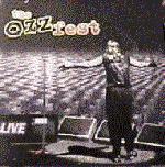 ozzfest.jpg